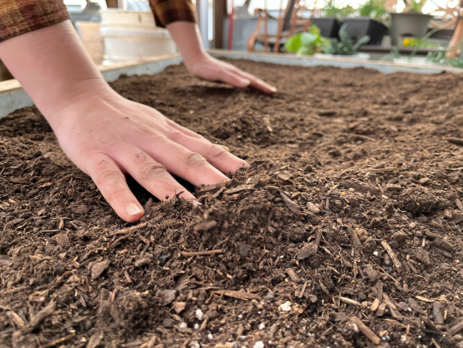 Hands smoothing a fresh layer of compost on existing garden beds in a greenhouse