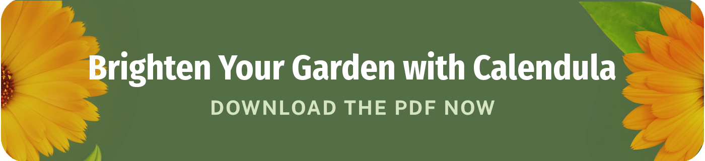 Brighten your garden with calendula download the pdf now