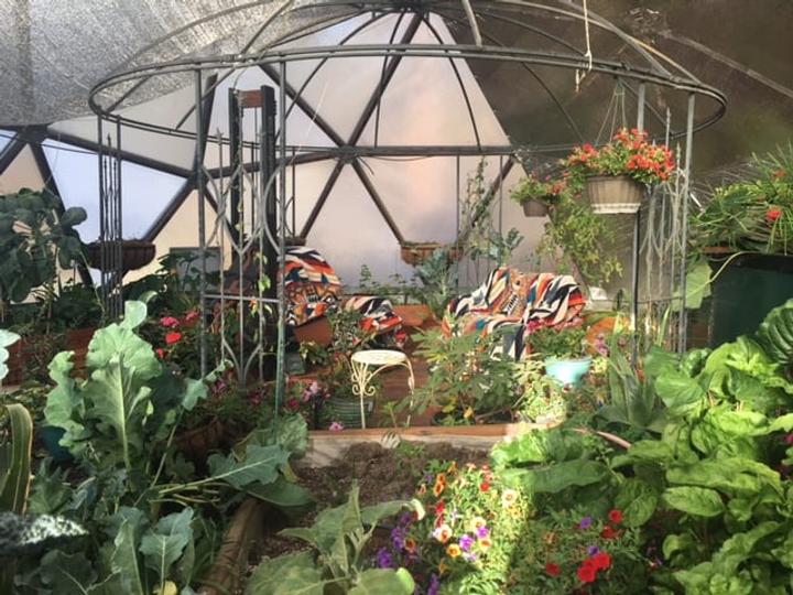 greenhouse sanctuary