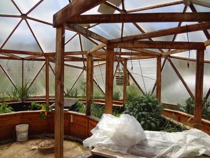 Multiple trellis' above planting beds