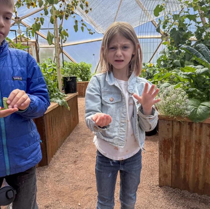 Young girl in a jean jacket making a sour face at the camera after trying a beet root in a Growing Dome Greenhouse