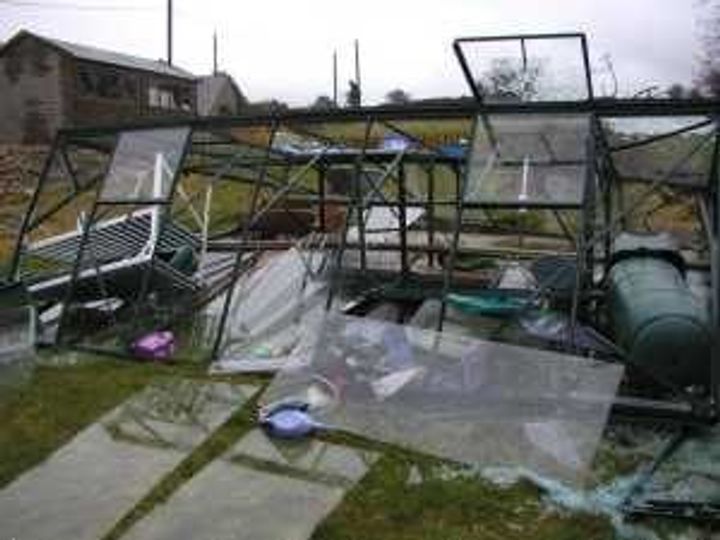 Glass greenhouse damaged by wind
