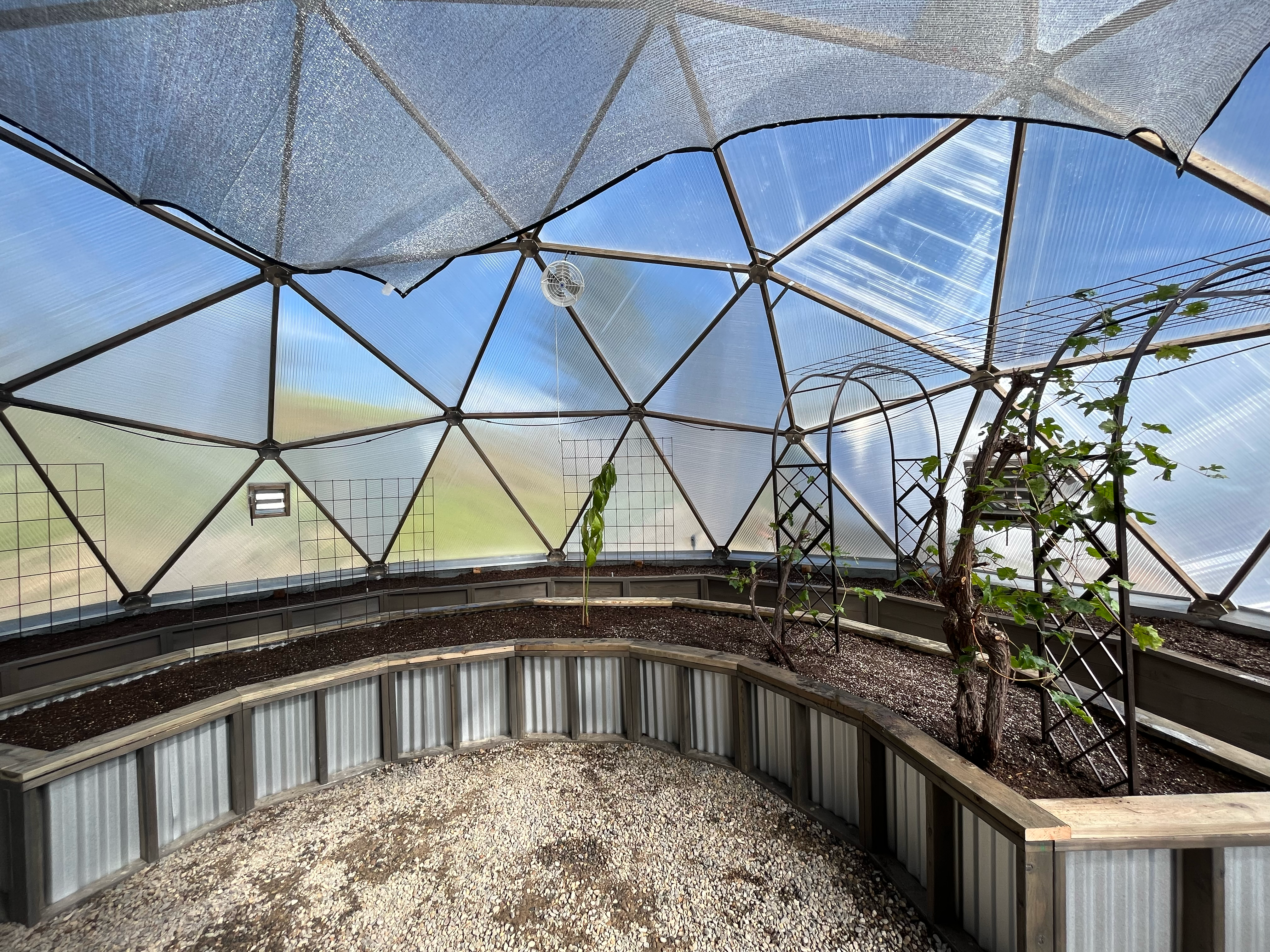 Galvanized metal raised garden beds in a Growing Dome greenhouse