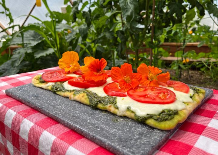 Delicious-looking flatbread pizza topped with nasturtium pesto, mozzarella, tomatoes, and bright orange-red nasturtium flowers. sitting on a cutting board on a picnic table in a geodesic greenhouse garden.