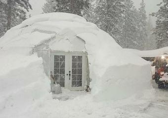 Gardening in the Snow in a Growing Dome image