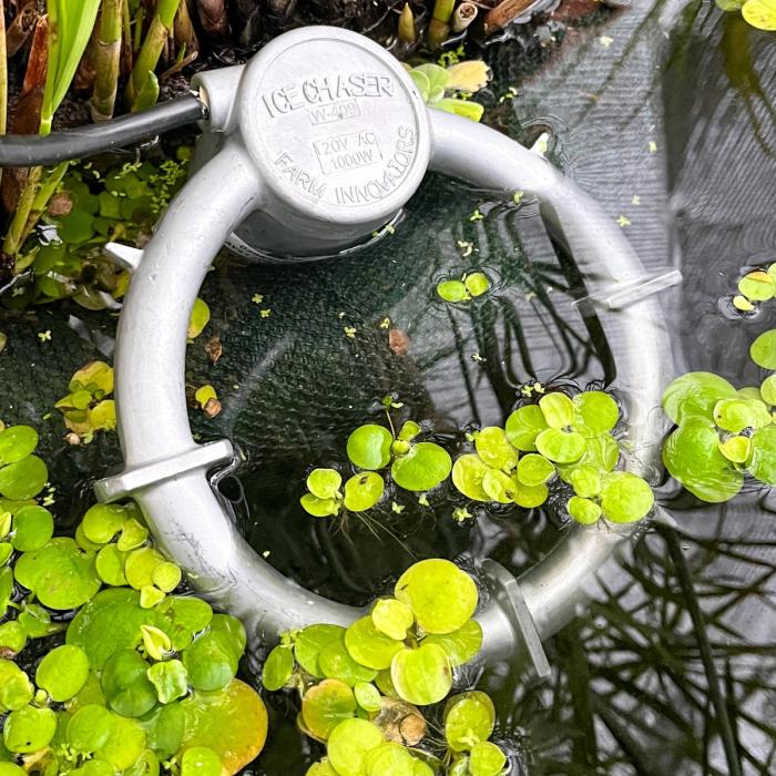 Submersible stock tank heater half submerged in water with floating green pond plants around it