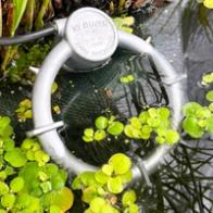 Submersible bucket heating in above ground pond to keep greenhouse warm