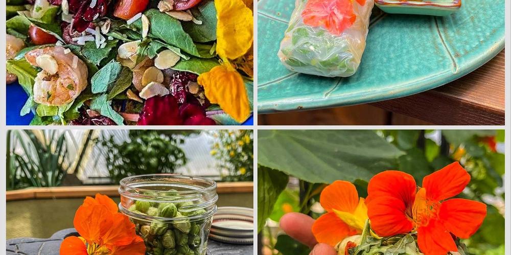 nasturtium_recipe_collection-1