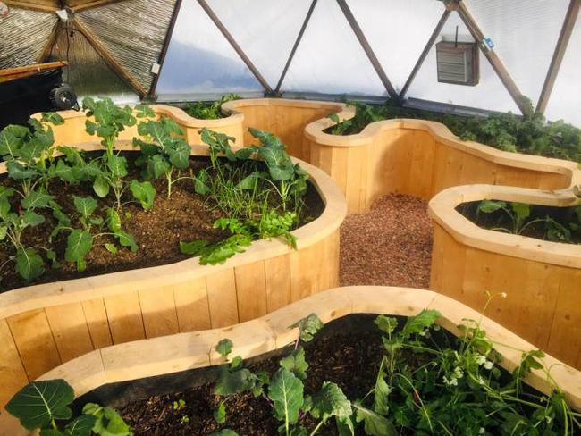 Curved raised beds filling the interior of a Growing Dome in Cooke City, Montana