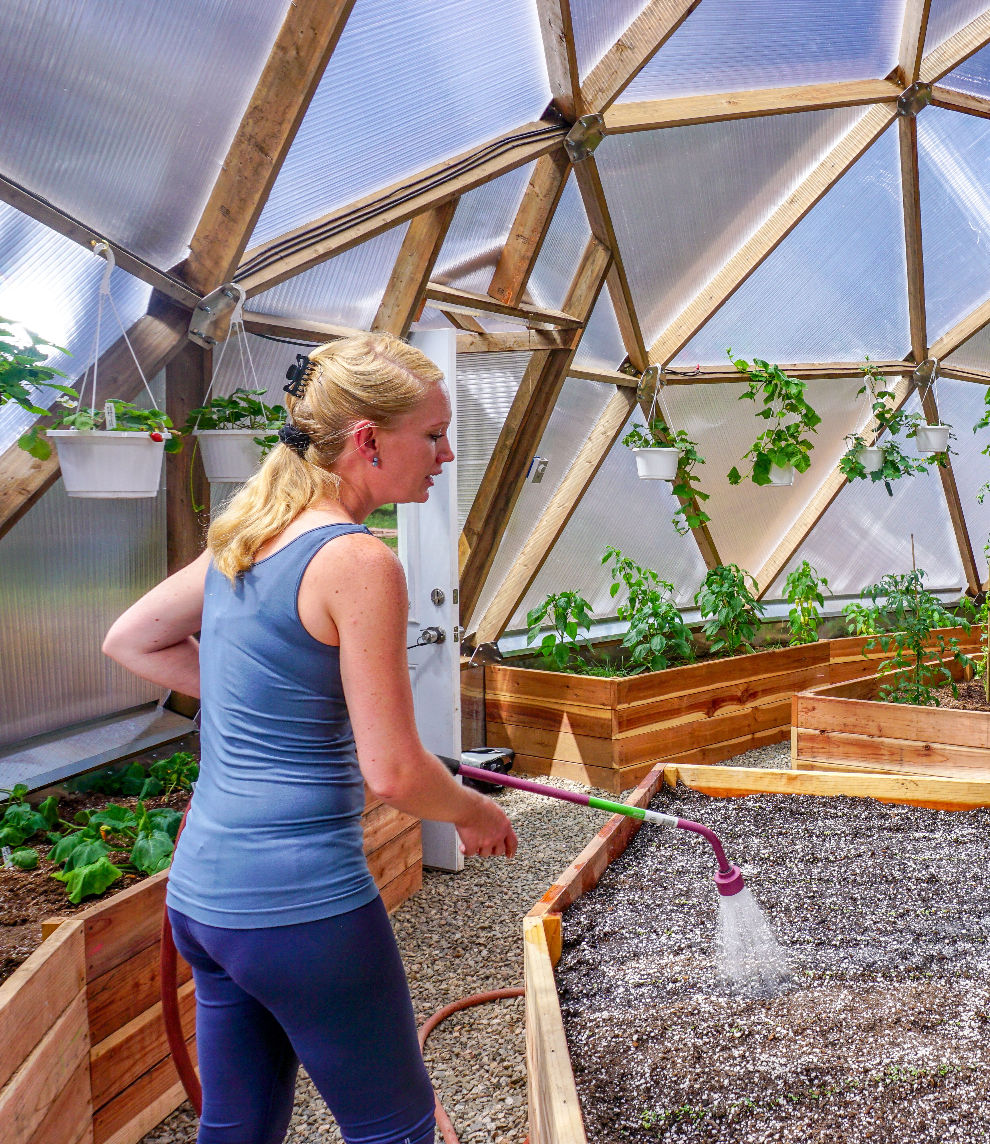 someone watering bare soil in a raised bed in a geodesic dome greenhouse