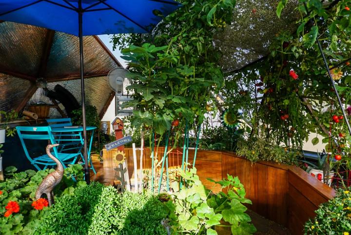 custom greenhouse design