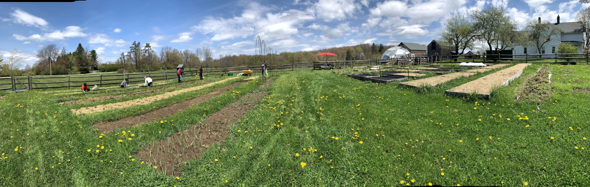 growing dome greenhouse on a Connecticut farm in the summer grass