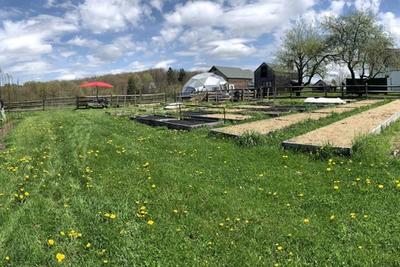 growing dome greenhouse on a Connecticut farm in the summer grass