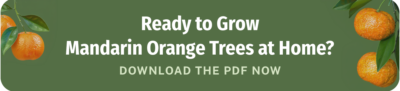 Ready to Grow Mandarin Orange trees at home download the pdf now