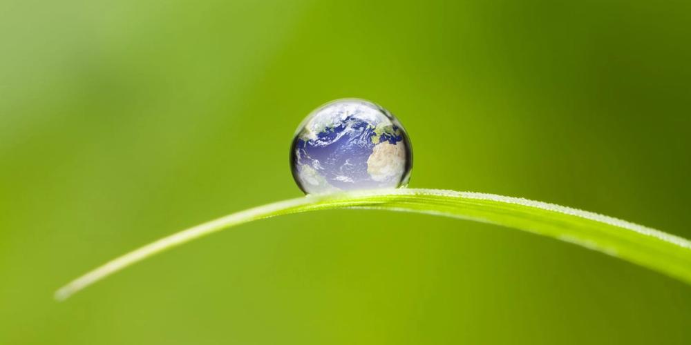 Earth on a blade of grass