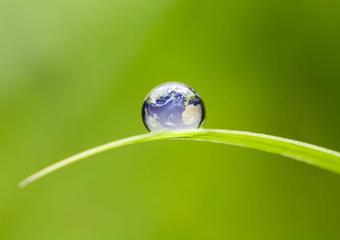 Earth on a blade of grass