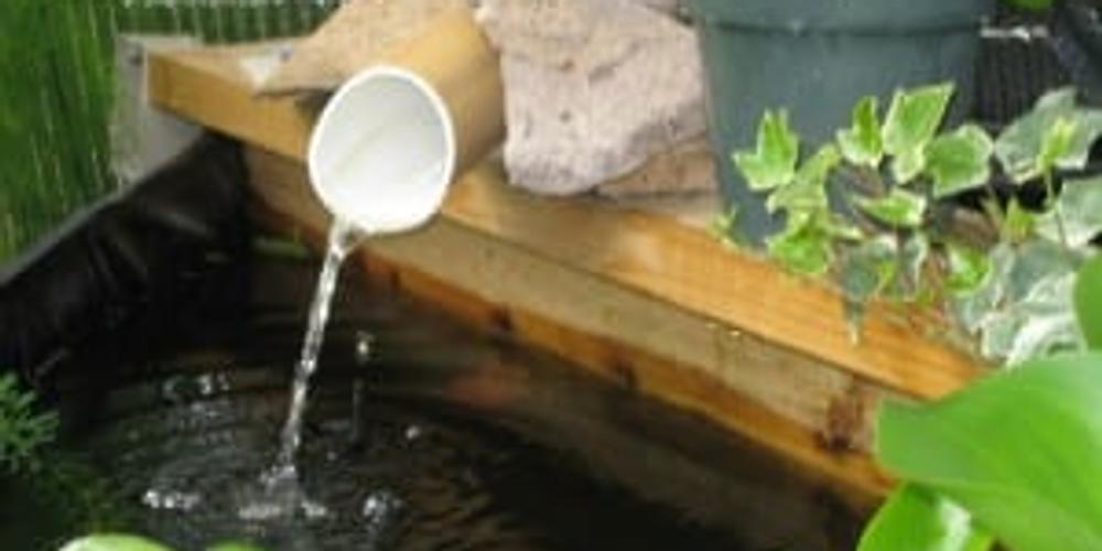 Greenhouse Helps New Gardener Learn Quickly image