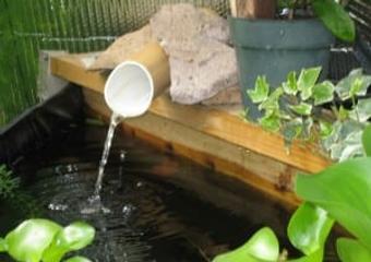 Greenhouse Helps New Gardener Learn Quickly image