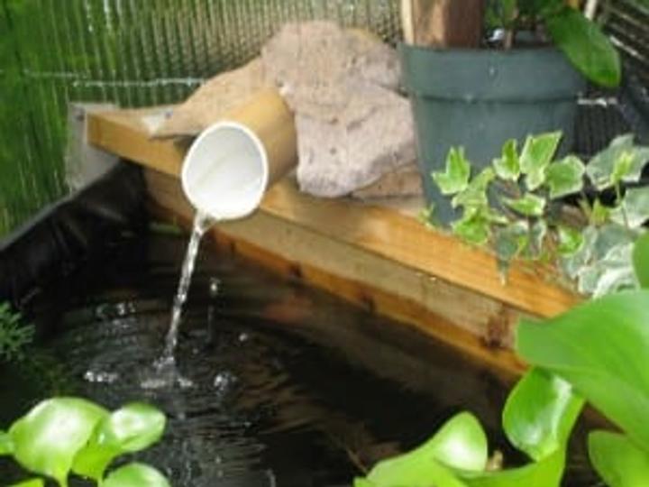 Solar water feature in above ground greenhouse pond