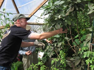 exercise from gardening