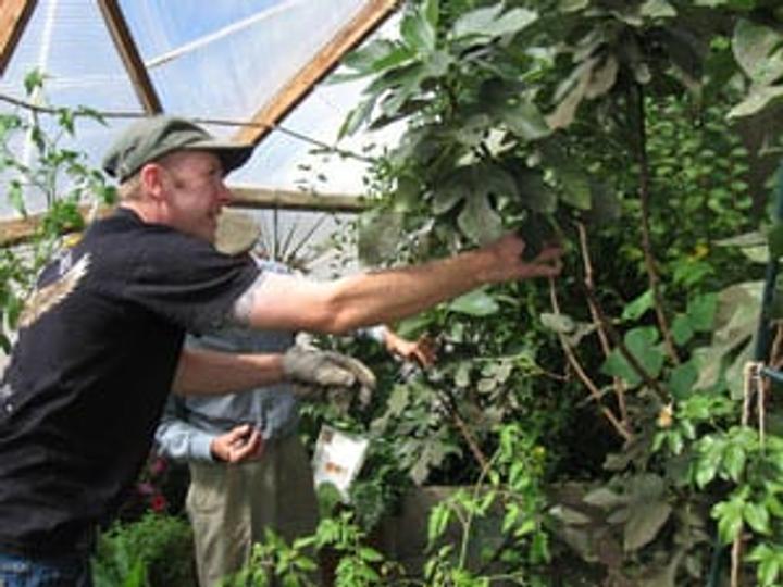 exercise from gardening