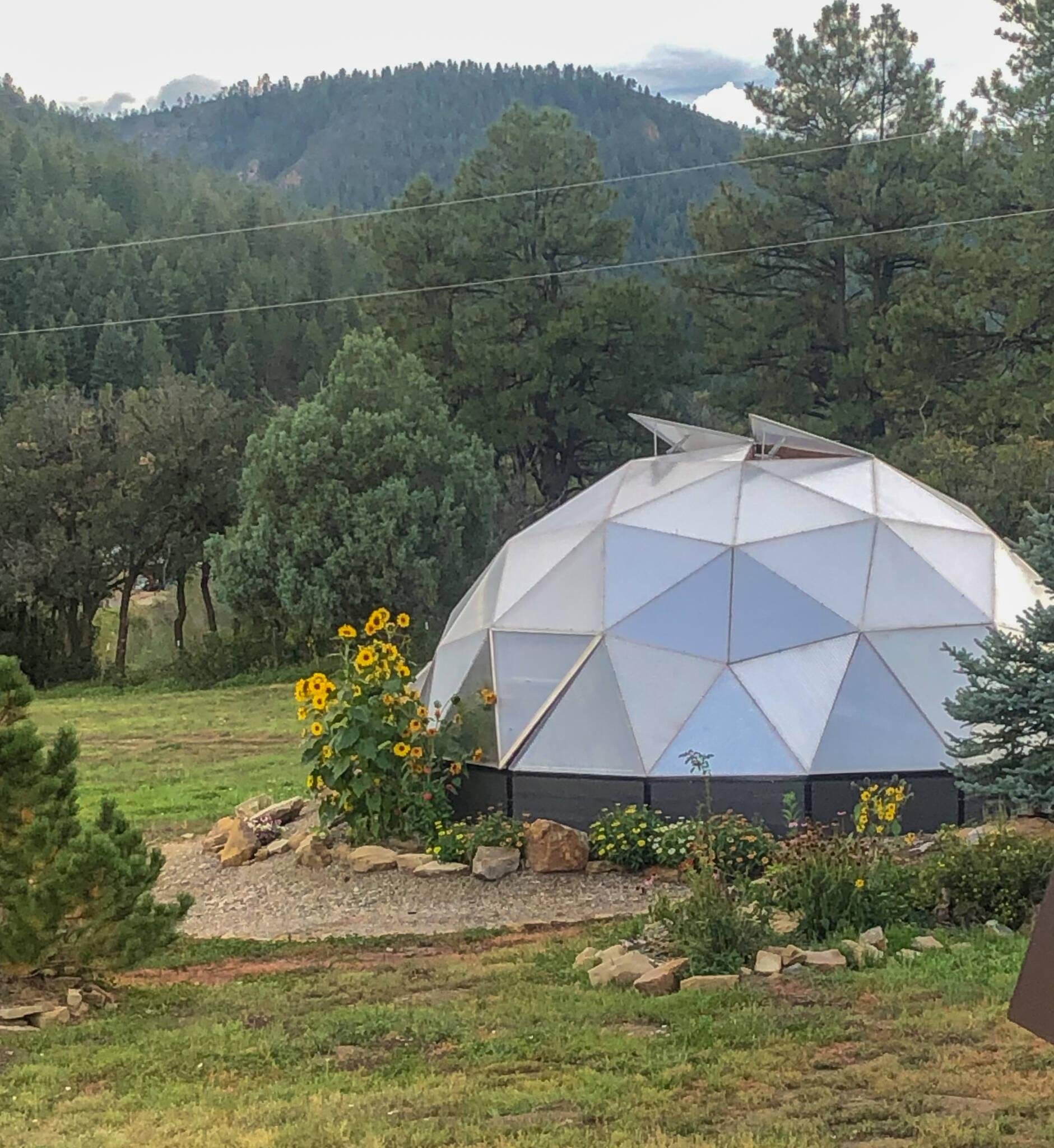 flowers growing outside greenhouse in beds made from rocks