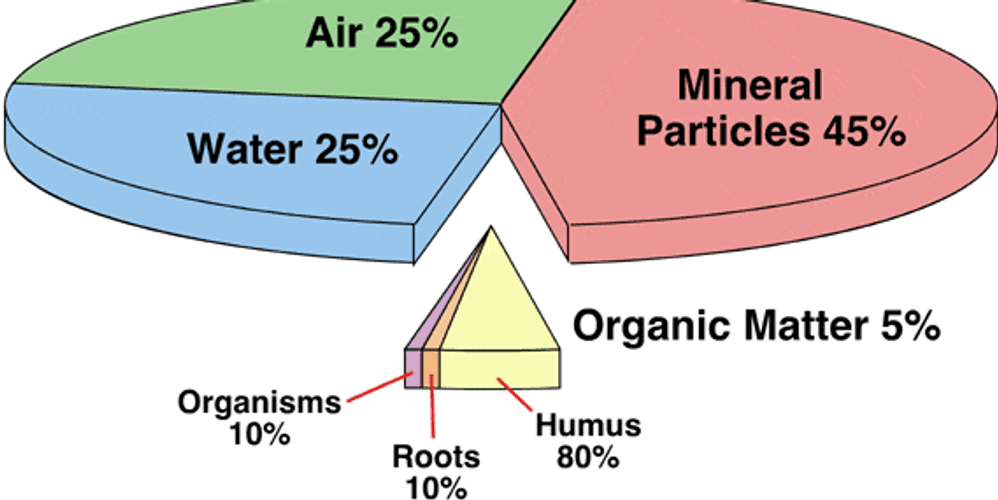 Soil Composition image