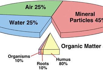 Soil Composition image