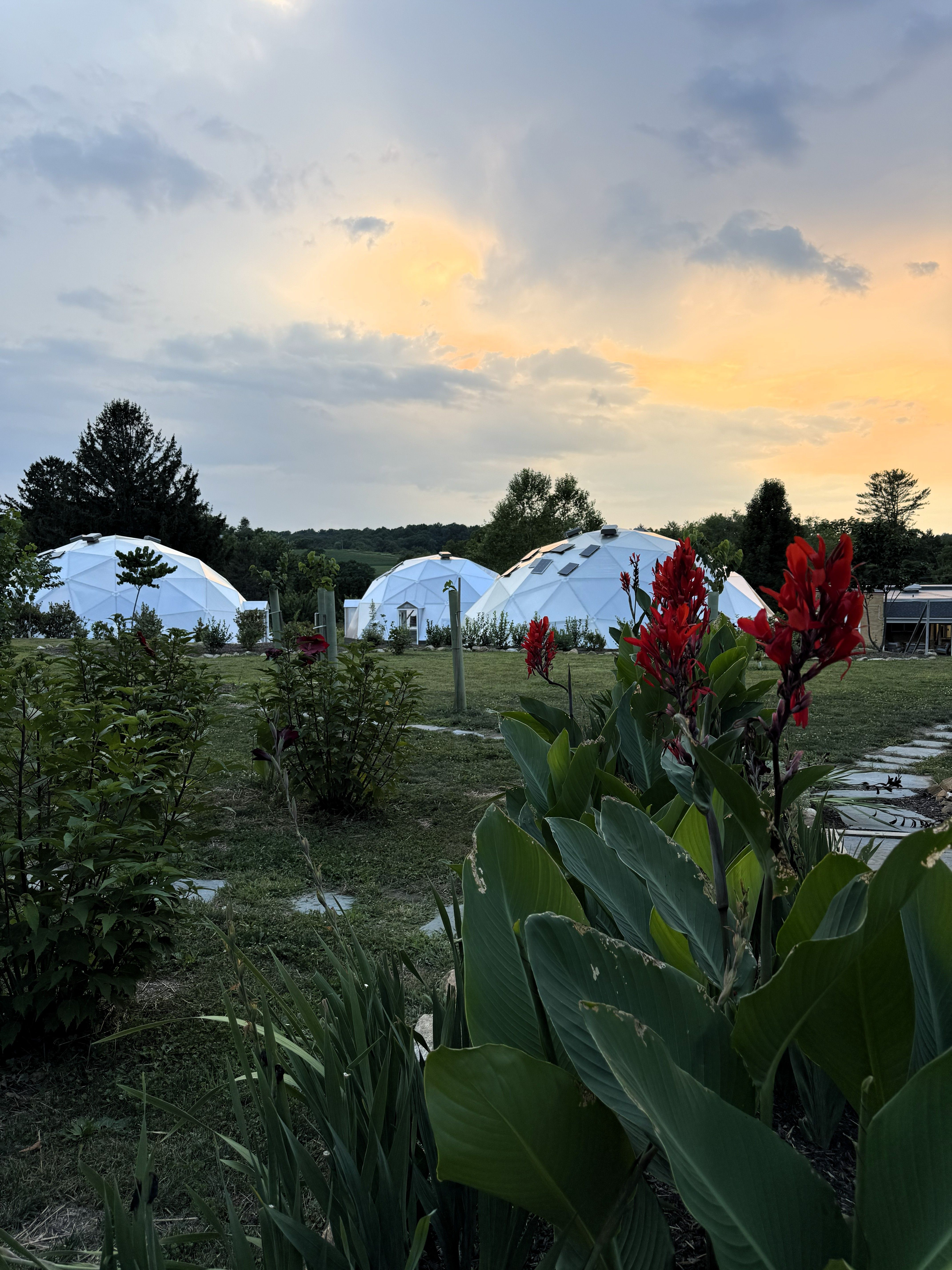 golden hour of the sun reflecting off clouds above three geodesic greenhouses