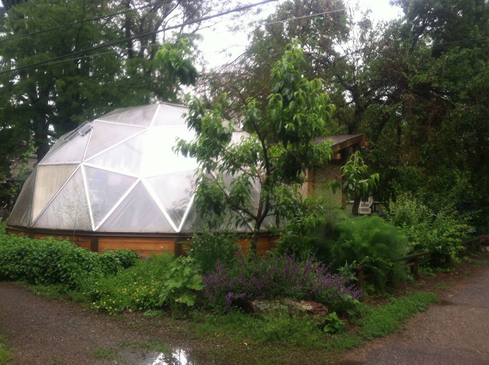 Growing Dome greenhouse in the Oregon rain