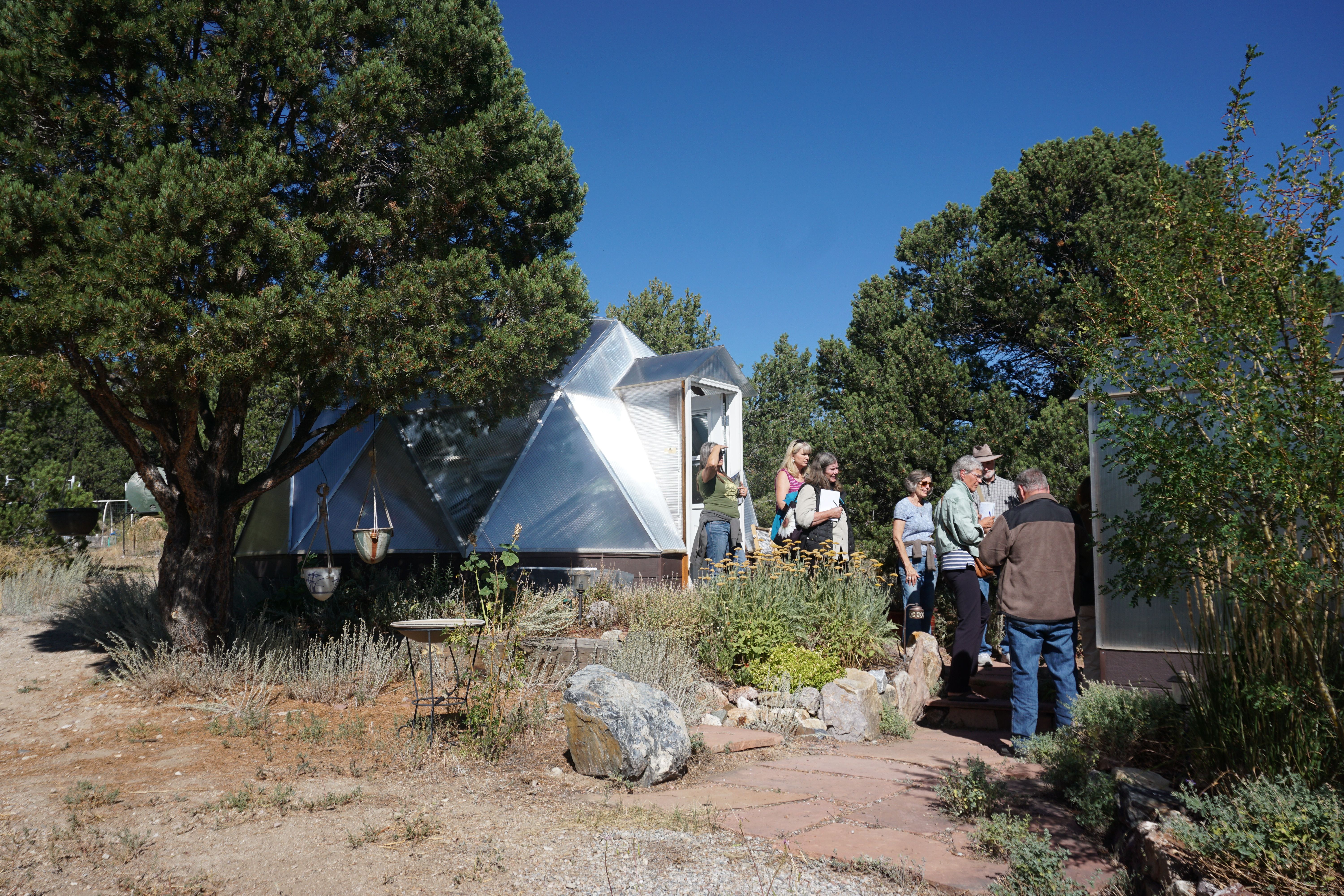 group of people gathered outside of a greenhouse sheltered by a pine tree