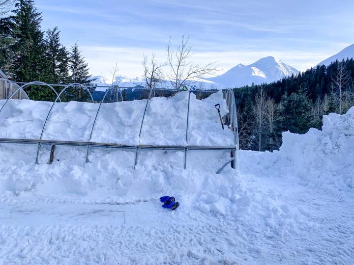 collapsed hoop house