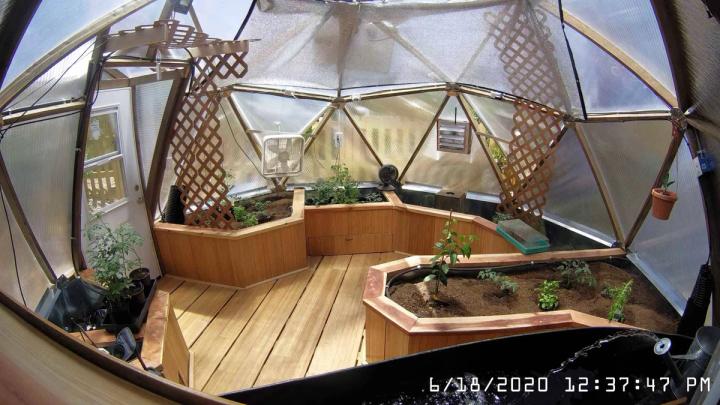 webcam monitoring automated greenhouse