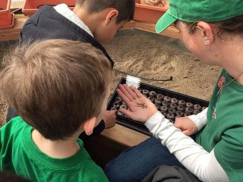 Kids Planting Seeds