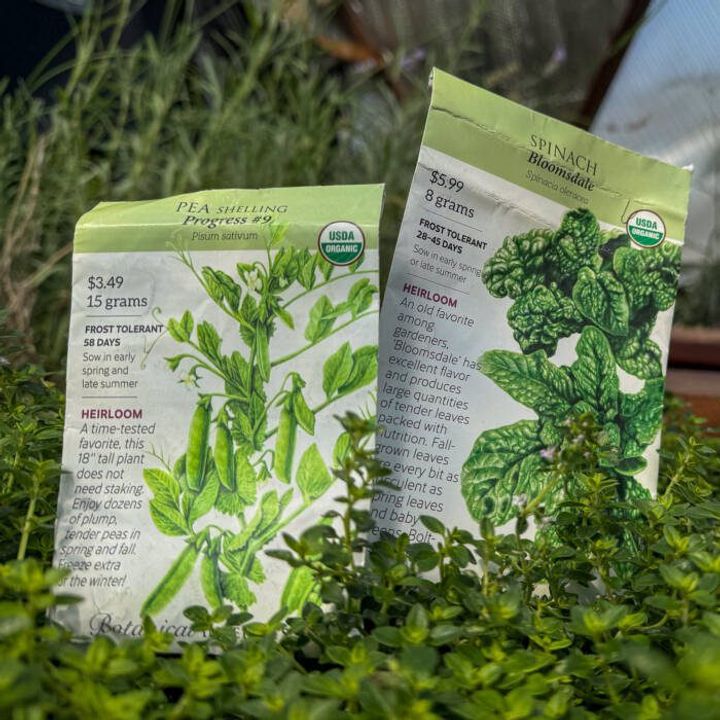 Two Botanical Interests seed packets in a thyme plant