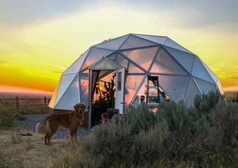 Succulent Greenhouse in Idaho
