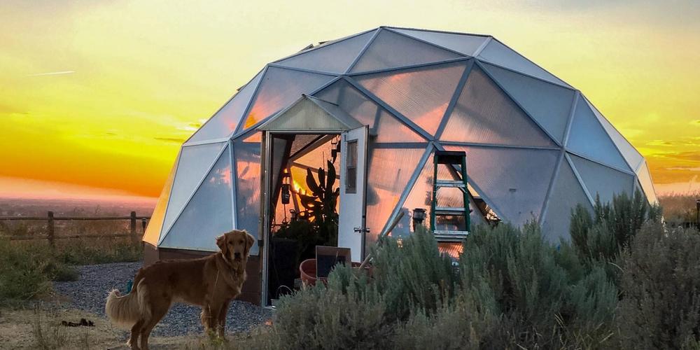 Succulent Greenhouse in Idaho image