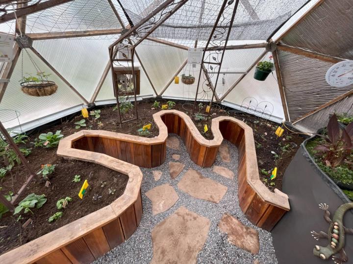 Growing Dome garden aerial view of garden beds with yellow sticky traps and small seedlings throughout