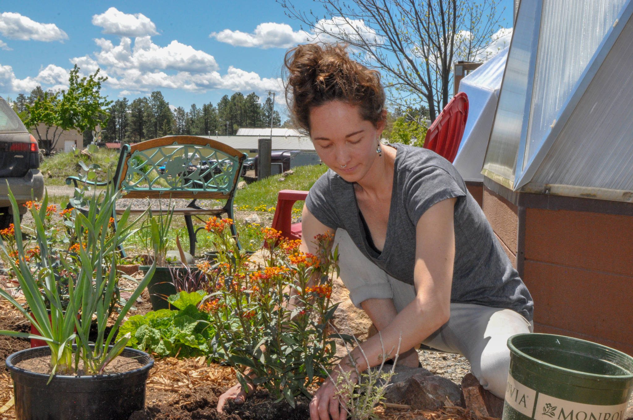 planting pollinator friendly plants outside a greenhouse will attract bees