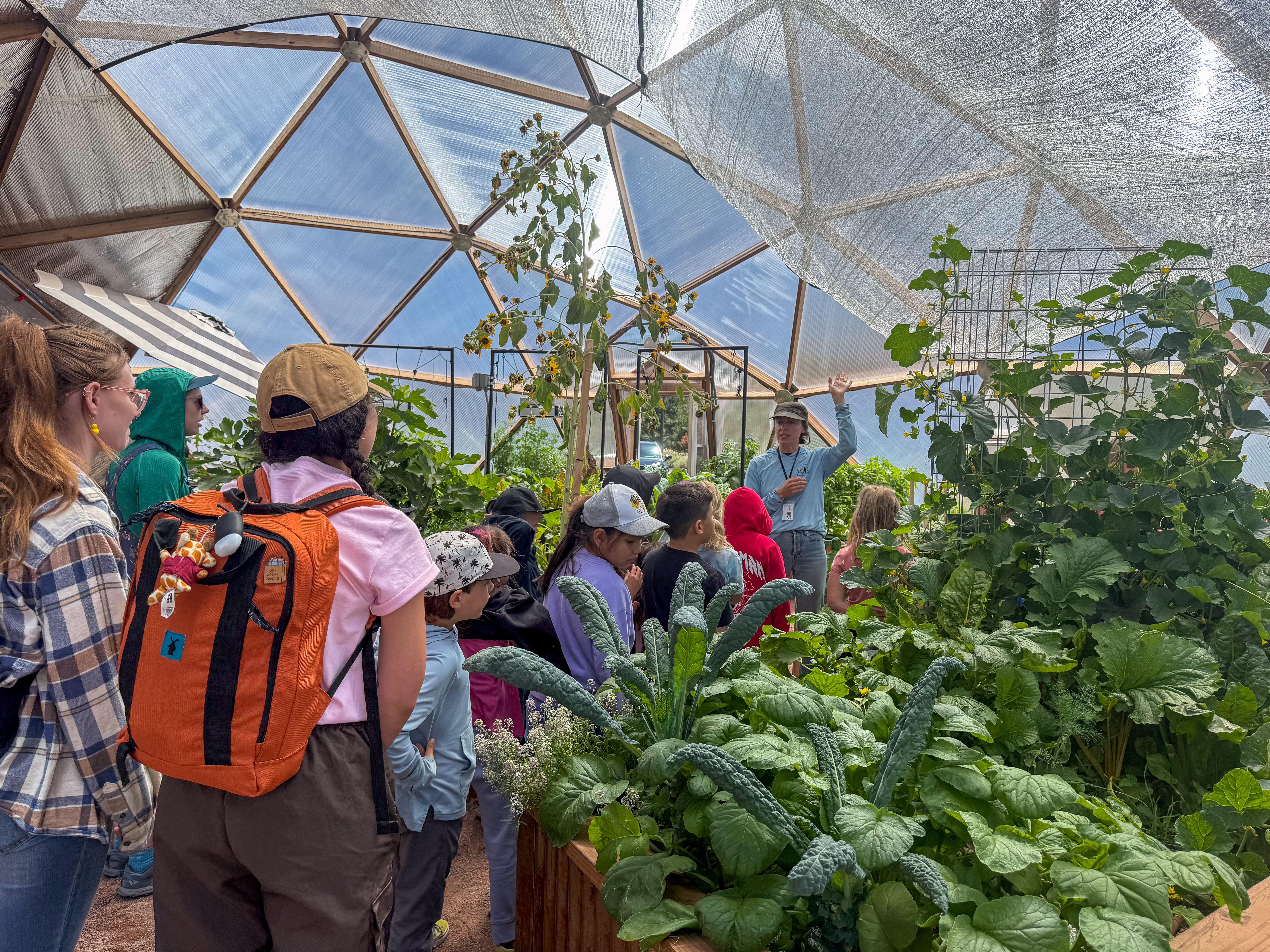 Teachers and students learning from an educator about plants in a greenhouse