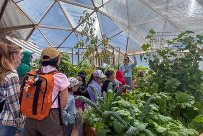 Teachers and students learning from an educator about plants in a greenhouse
