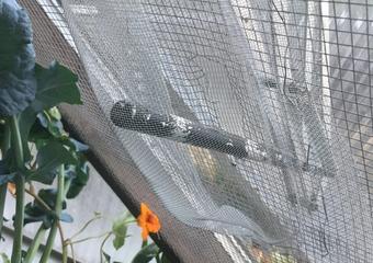 117101563_3766753623353964_1798476800745601906_n