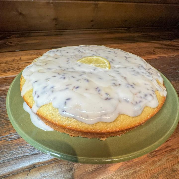 plated lemon olive oil cake with lemon garnish