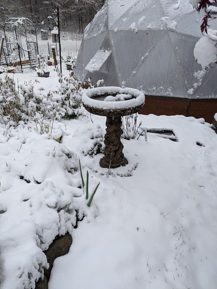 DIY Greenhouse Kit in winter