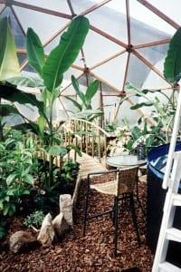 Bridge above an in ground pond inside a tropical greenhouse in Kansas