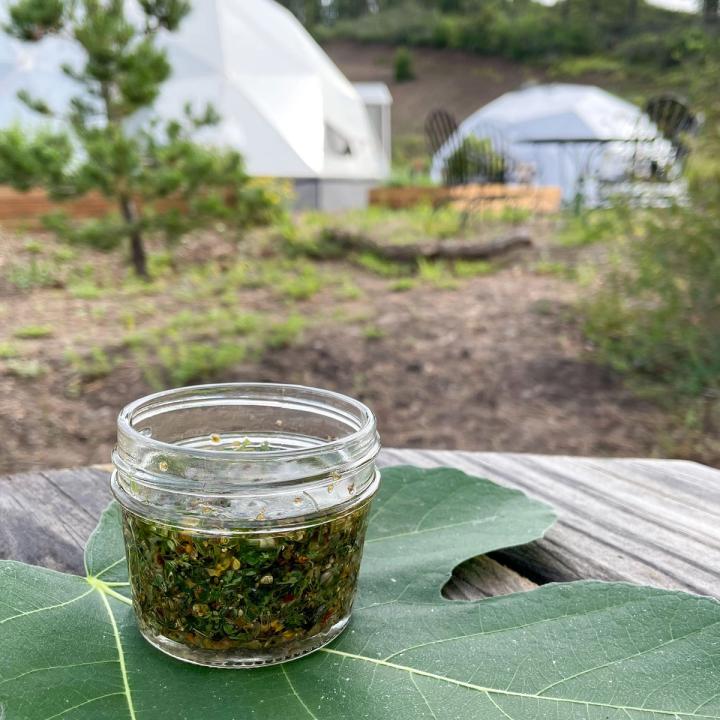 carrot top version of chimichurri sauce in oil sitting on a fig leaf on a table with Growing Domes in the background