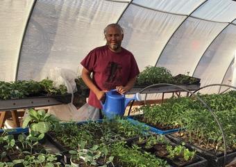 5 Charities Fighting Food Insecurity