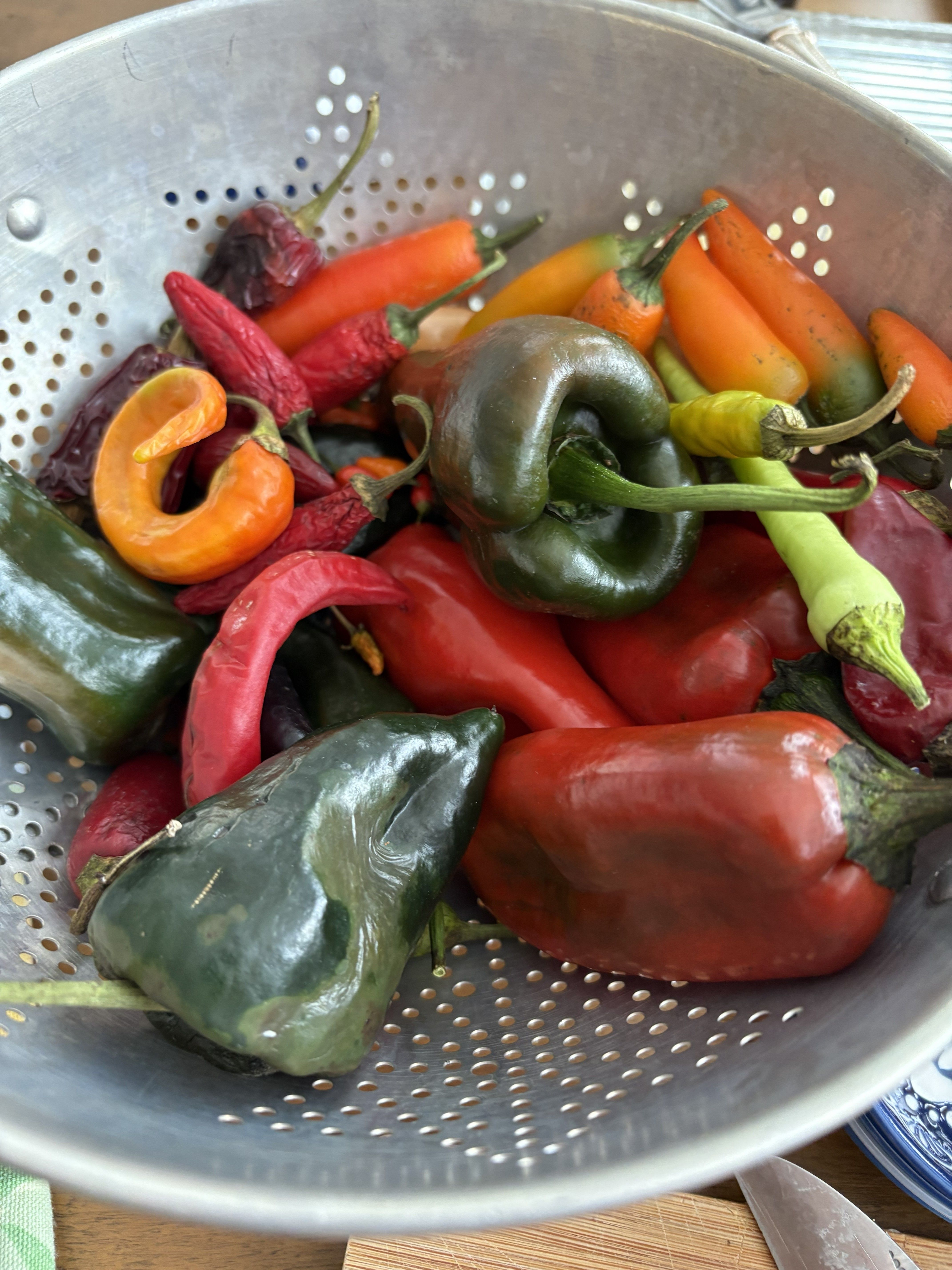 collander full of a variety of colorful peppers