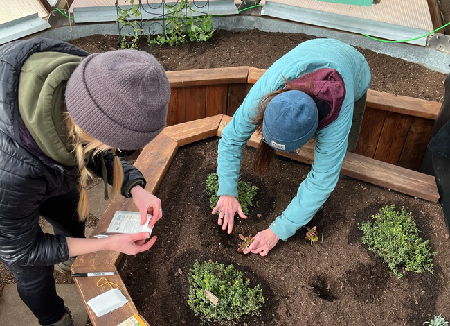 Two women direct sowing and transplanting seedlings in a greenhouse