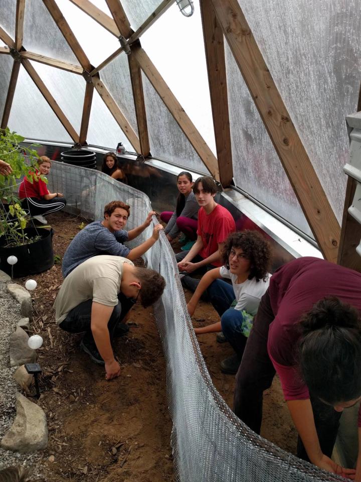 constructing beds in tropical greenhouse